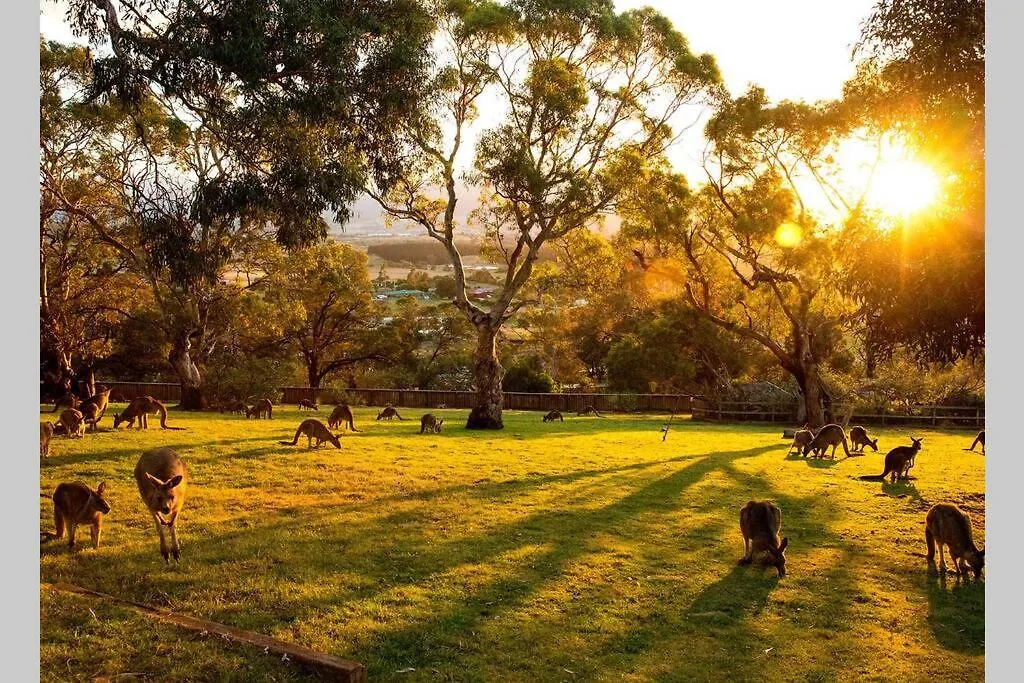 Best Location In Hobart! Luxury 4 Bedroom With Stunning Views Hobart